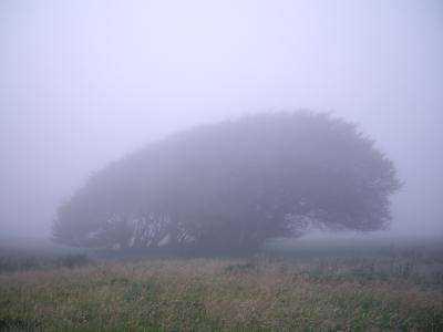 Exmoor, Devon