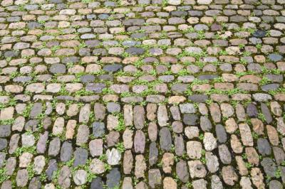 Green among the stones